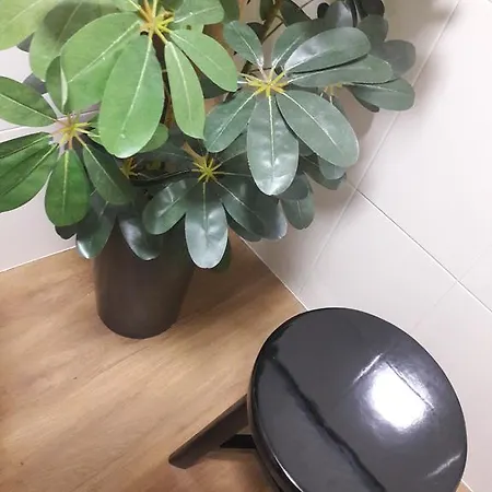 Apartamento *